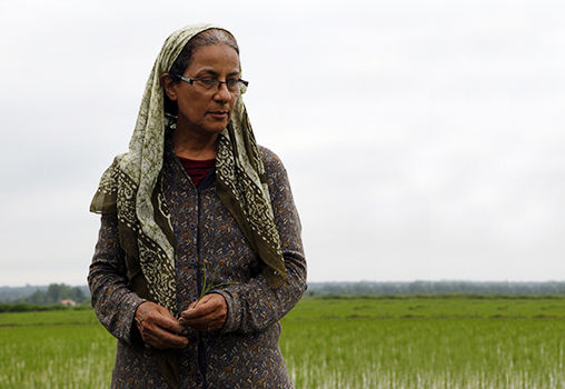 کاری کارستان؛ با یک گل هم بهار می‌شود