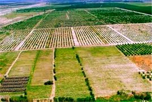 6.75 هکتار از اراضی دولتی در خراسان شمالی پس گرفته شد