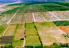 6.75 هکتار از اراضی دولتی در خراسان شمالی پس گرفته شد