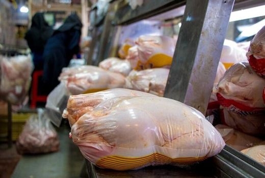 بازار مرغ اصفهان به کنترل در آمده است