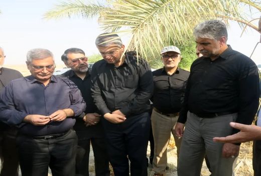 بازدید غلامرضا هادربادی از نخیلات شهرستان دشتستان