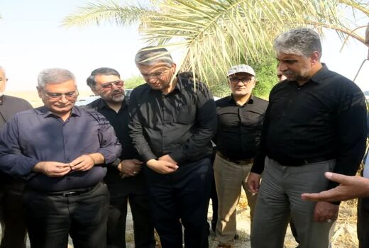 بازدید غلامرضا هادربادی از نخیلات شهرستان دشتستان