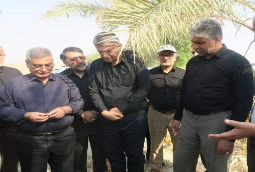 بازدید غلامرضا هادربادی از نخیلات شهرستان دشتستان