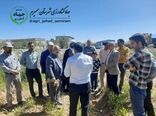 بازدید از اجرای عملیات احداث گاوداری 10 هزار رأسی و مزرعه گیاعان دارویی بخش وردشت
