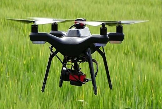 تولید پایدار با مدیریت هوشمند آفات 