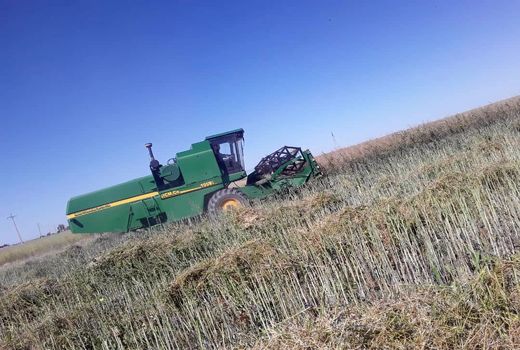 خروج کمباین، گندم و کاه بدون مجوز از دره شهر ممنوع است. 