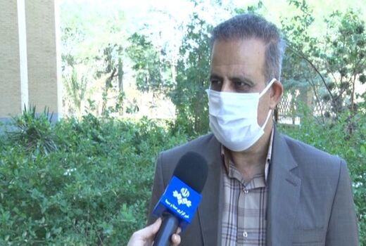 قیمت گوجه فرنگی کاهش می‌یابد 