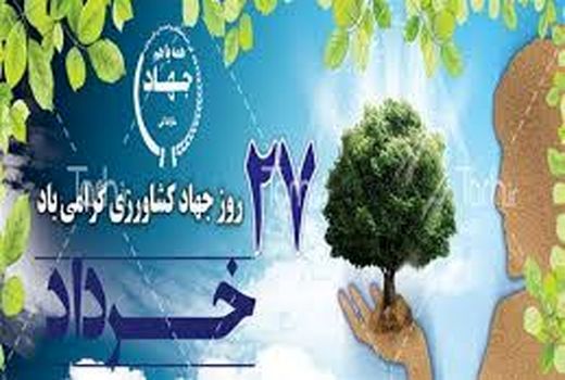 هدف جهاد کشاورزی استان تهران استقلال، امنیت غذایی و توسعه همه جانبه است