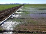 خراسان جنوبی پیشتاز در اجرای سیستم های نوین آبیاری