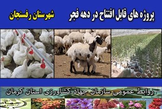 بهره‌برداری از 4 طرح کشاورزی و دامپروری در شهرستان رفسنجان 