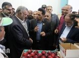 سفر وزیر جهاد کشاورزی به استان فارس و بازدید از پروژه های بخش کشاورزی
