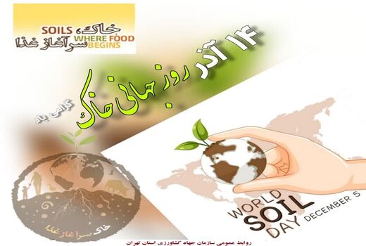 تخریب بیش از 4600مورد ساخت و ساز غیرمجاز در اراضی کشاورزی استان تهران در8ماهه نخست امسال