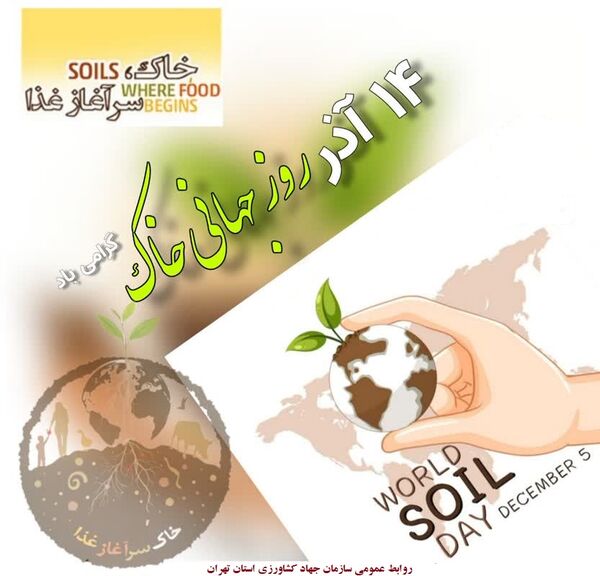 تخریب بیش از 4600مورد ساخت و ساز غیرمجاز در اراضی کشاورزی استان تهران در8ماهه نخست امسال