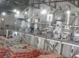نرخ خشک و سفید کردن برنج در سطح استان توسط تنظیم بازار اعلام می‌شود