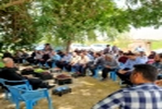 جشن برداشت انگور در گتوند