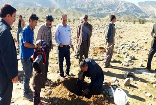 20 هکتار از منابع طبیعی قیروکارزین احیا شد
