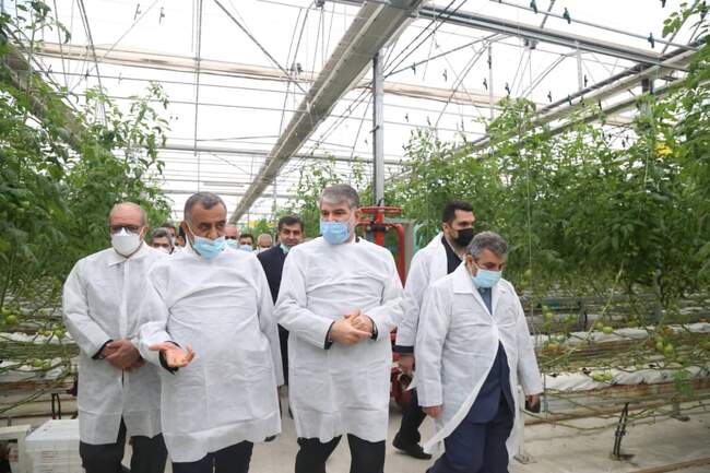 indexضش