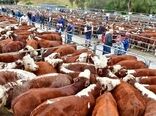 جنگ، هزینه تولید گوشت در اروپا را افزایش می‌دهد