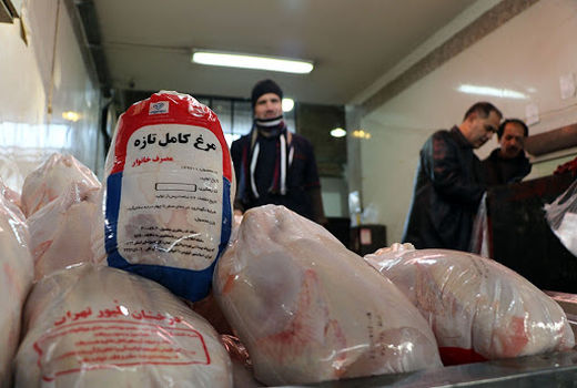 ورود 1400 تن مرغ گرم به میادین سطح شهر تهران
