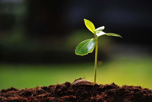 نواختن زنگ خاک برای دانش آموزان آبادانی