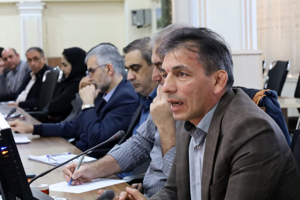 هشدار نسبت به تشدید خشکسالی و طغیان آفات گندم در ماه‌های پیش‌رو