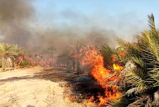 آمادگی مقابله با آتش‌سوزی مراتع در روزهای گرم فصل تابستان را داریم