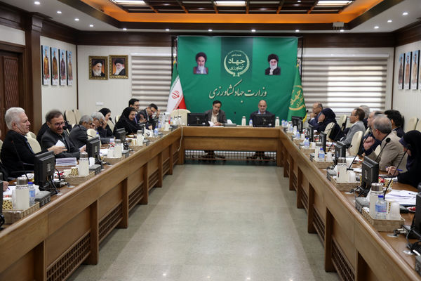 بررسی اجرای قانون حفاظت خاک در نشست کارگروه تخصصی ستاد ملی/ تأکید بر مسئولیت‌پذیری آلوده‌کنندگان و همکاری‌های بین‌دستگاهی