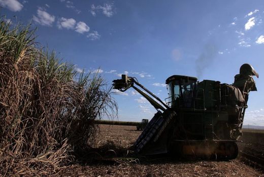 کرونا، کشاورزی برزیل را دیجیتالی کرد