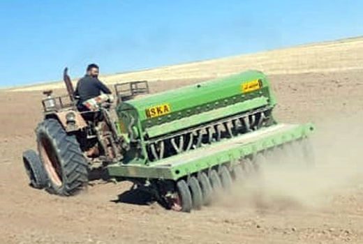 آغاز گام دوم طرح جهش تولید در دیم زارهای شهرستان ویژه مراغه در سطح  21650 هکتار 