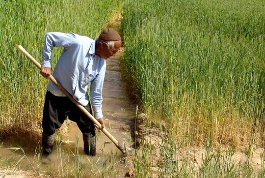 مهلت پرداخت حق بیمه کشاورزان و عشایر یزد تمدید شد