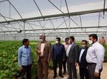 آغاز عملیات اجرایی تقویت و توسعه برق مجتمع گلخانه‌ای شهرستان درمیان