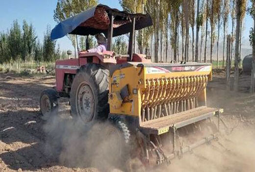 آغاز کشت کلزا در مناطق معتدل شهرستان مرند
