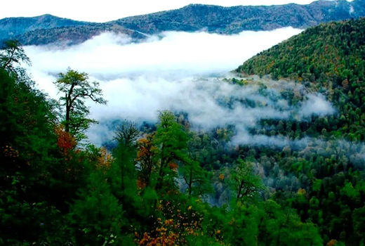 حساسیت مردم نسبت به حفظ منابع طبیعی افزایش یافته است