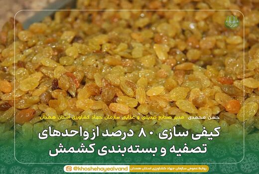 کیفی سازی ۸۰ درصد از واحدهای تصفیه و بسته‌بندی کشمش