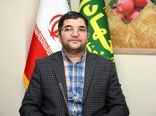  ۹ هزار و ۳۷۳ بازرسی در بازار و نانوایی‌ها/ ارسال یک هزار و ۴۶۱ پرونده تخلف به تعزیرات حکومتی