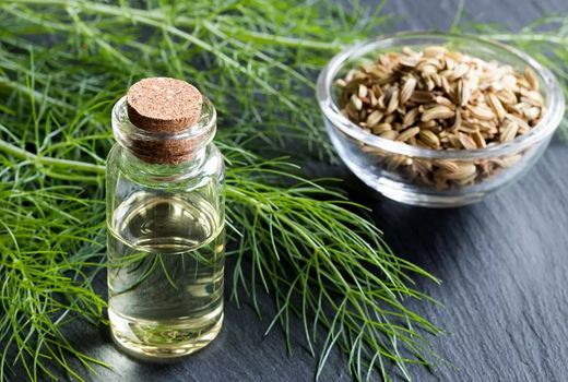 درمان سوءهاضمه با مصرف رازیانه