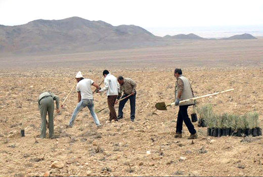 اجرای عملیات بیابان‌زدایی در جنوب غرب تهران
