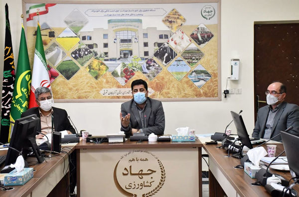 کشاورزی قراردادی می تواند برنامه ریزی برای تولید را منسجم و دقیق تر کند