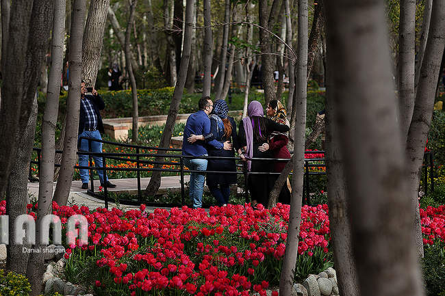 گردشگران در باغ گل ایرانی