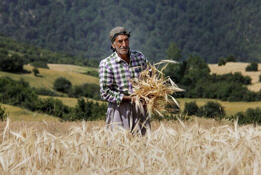 مشارکت بیش از ۱۱۴ هزار فعال کشاورزی در بزرگ‌ترین فرایند ملی ترویج دانش و فناوری