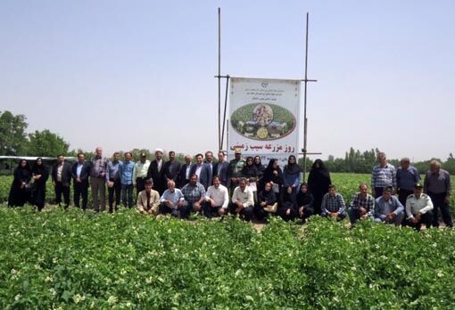  مراسم روز مزرعه سیب زمینی در عجب شیر برگزار شد