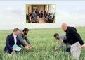 دستاوردهای عملیاتی یازدهمین کاروان ترویج بهره‌وری ویژه کشت‌های پاییزه