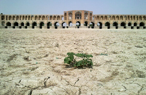 پشمک یزد با طعم گز اصفهان