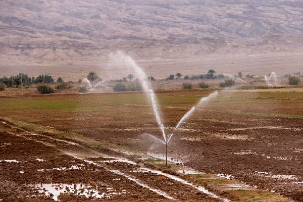 اجرای سیستمهای نوین آبیاری در یک سوم از اراضی کشاورزی لردگان