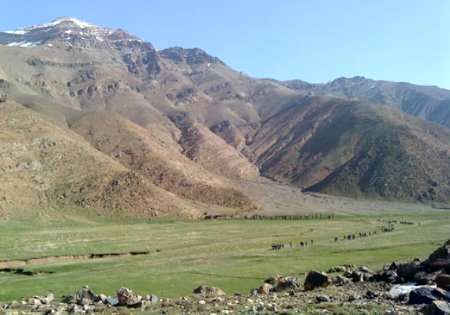 منابع طبیعی زیرساخت حیاتی پدافند غیرعامل کشور است