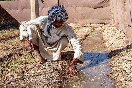 دانش بومی کشاورزان؛ ظرفیتی کلیدی برای مدیریت بحران آب و افزایش تاب‌آوری در خشکسالی