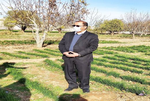 حمایت ویژه از طلای سرخ لرستان