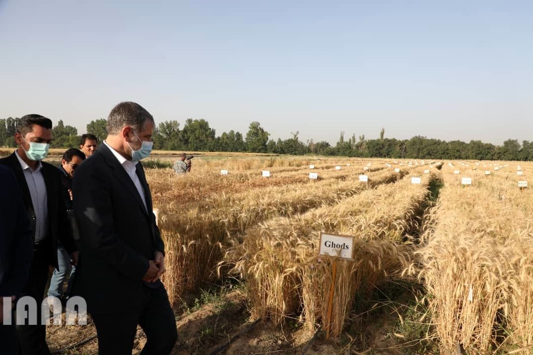 WhatsApp Image 2022-06-14 at 10.06.26 AM