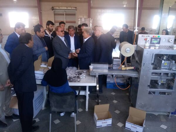 بازدید معاونین وزیر جهاد کشاورزی از طرح بسته بندی پسته صادراتی در شهرستان رفسنجان