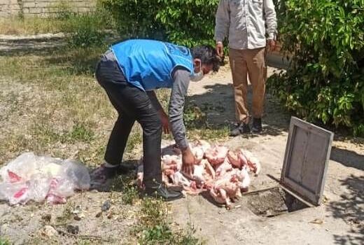 امحاء مواد غذایی فاسد در فیروزآباد